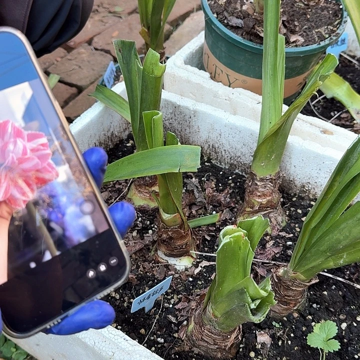 随机基地球一个，，，，，