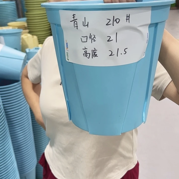 特价青山盆口21高21蓝色无托10只