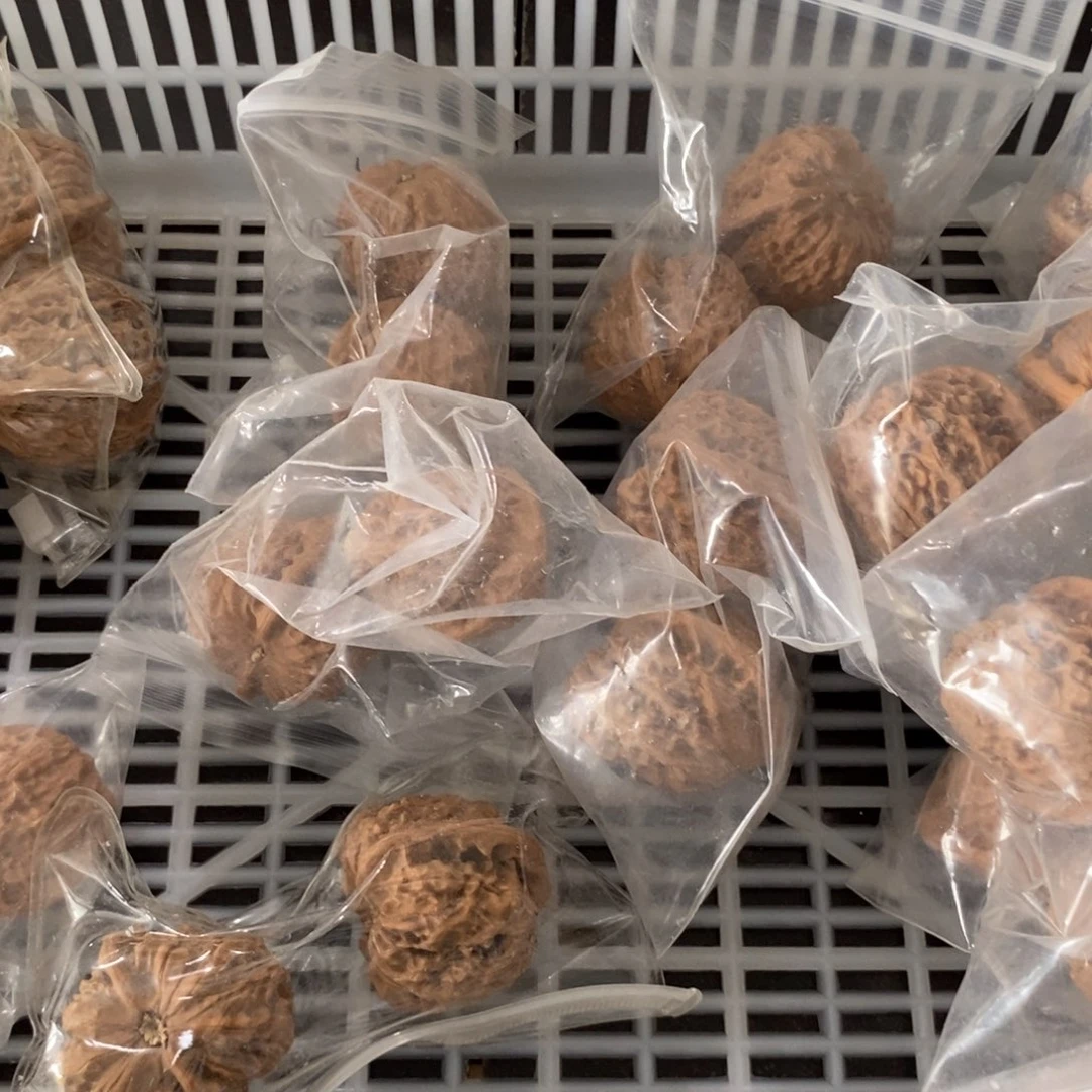 文玩核桃吊坠金麒麟好对