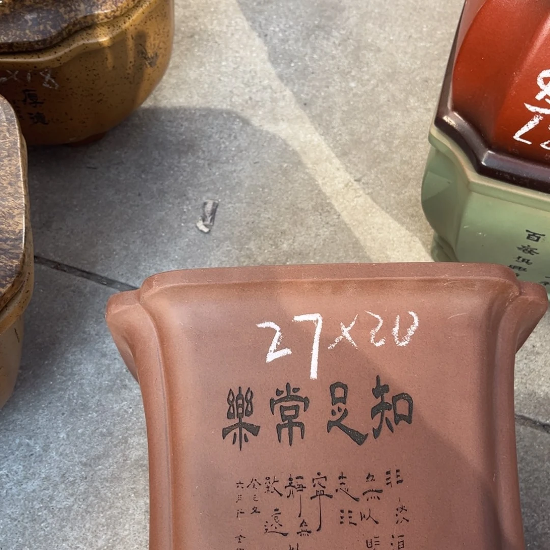 花盆紫砂盆景艺术