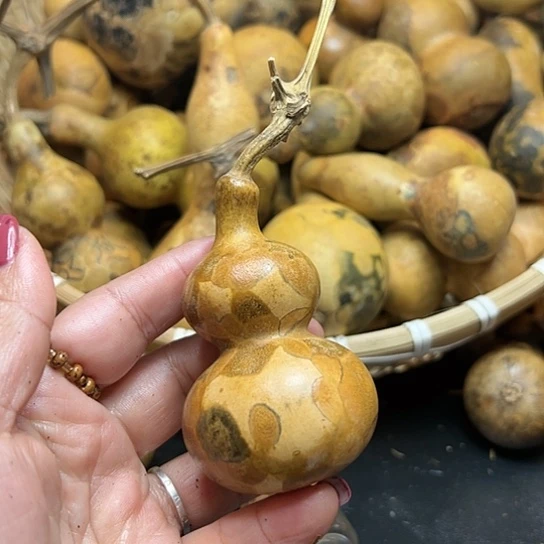 大**我葫芦葫芦葫芦葫芦葫芦