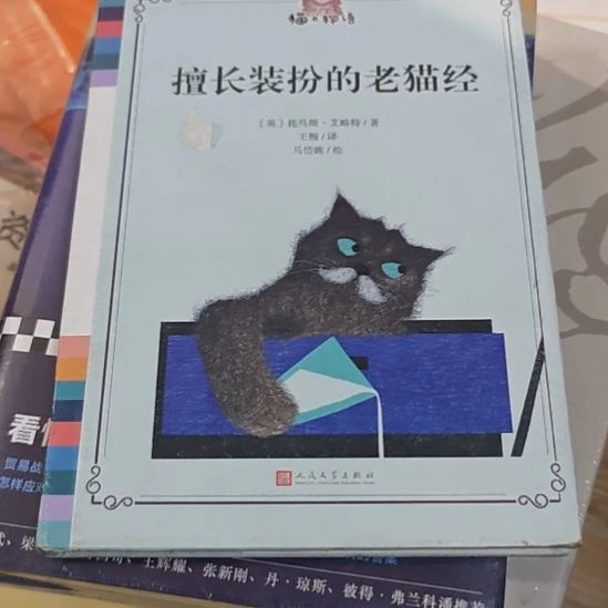 擅长装扮的老猫精瑕疵介意勿拍残书