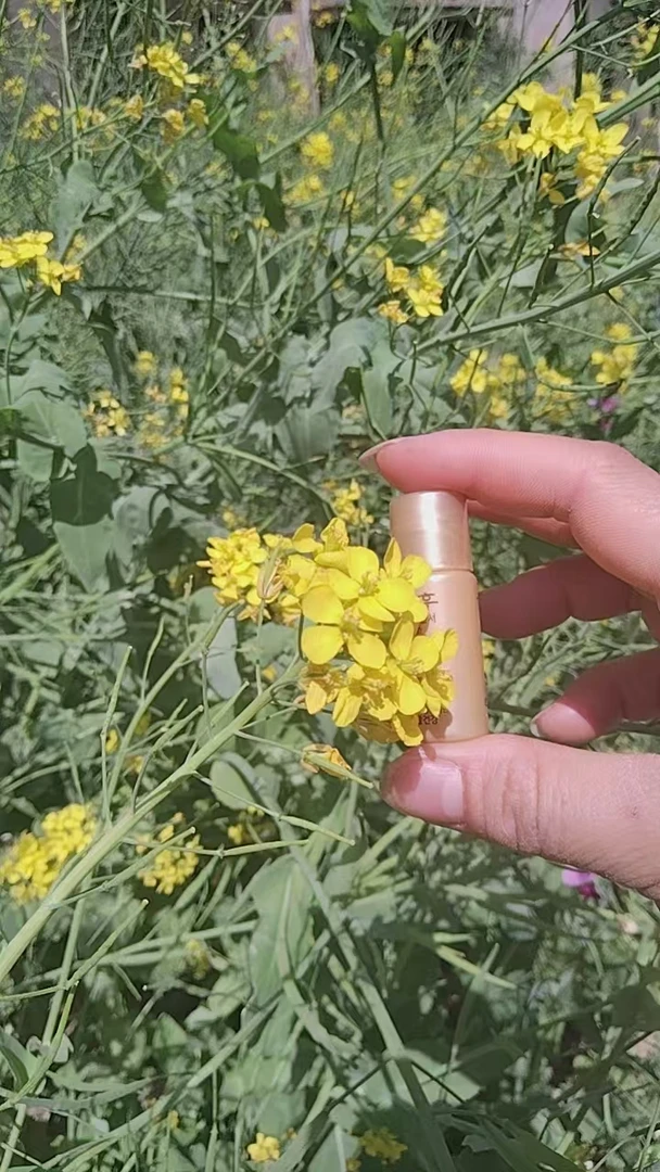 (拍二单送面膜)   贵妇心头爱 黄色水5ml*30瓶