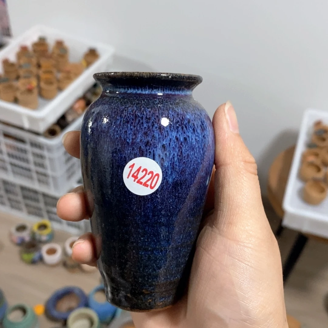 拍5送一个小礼物