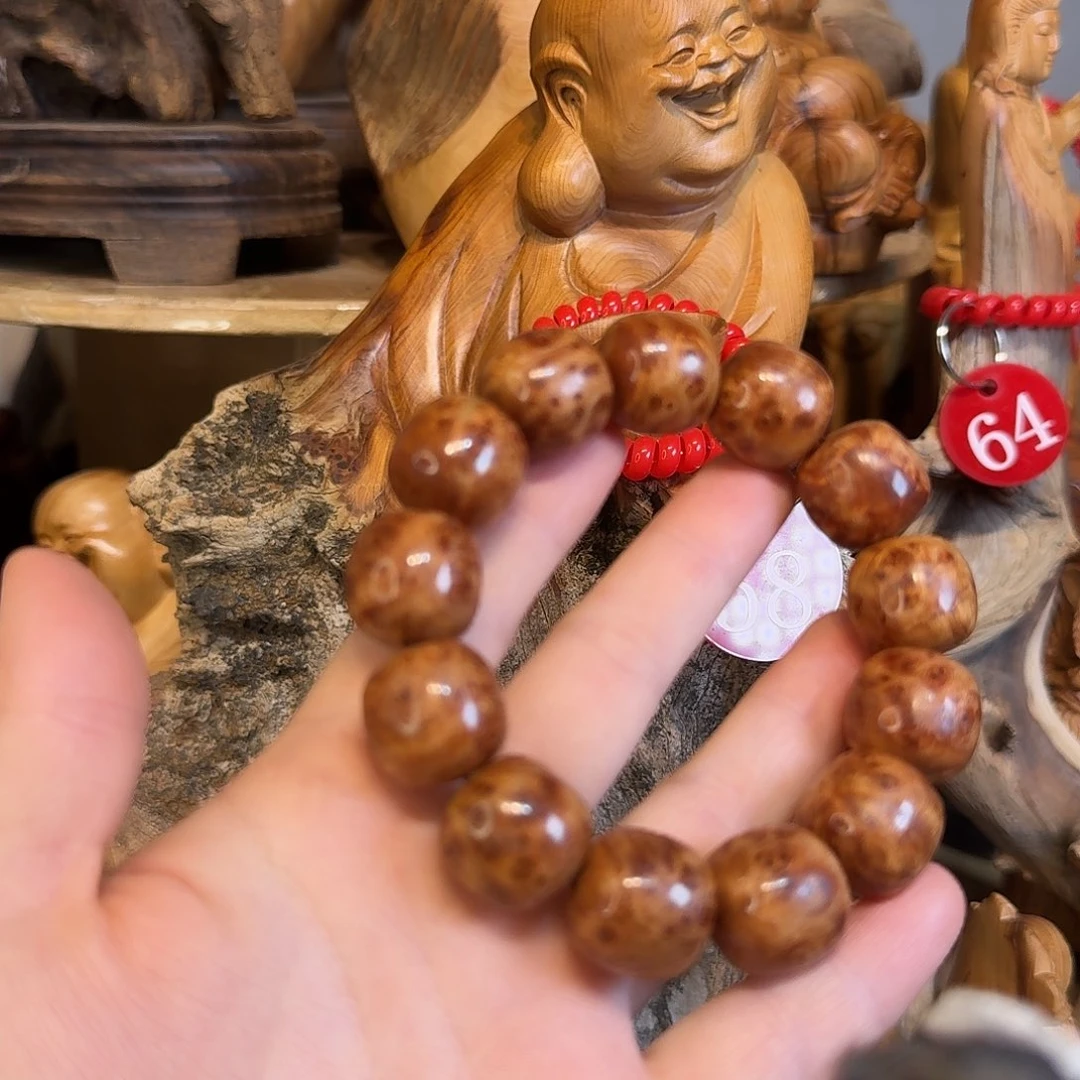 柏木（崖柏）666666666