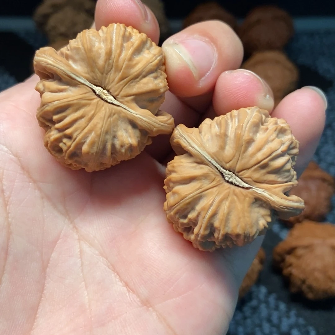 文玩核桃把件白狮子37全品