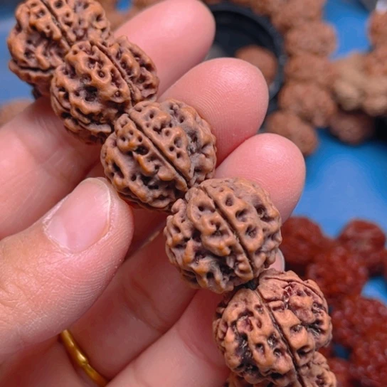 金刚菩提手串M0048/21/5