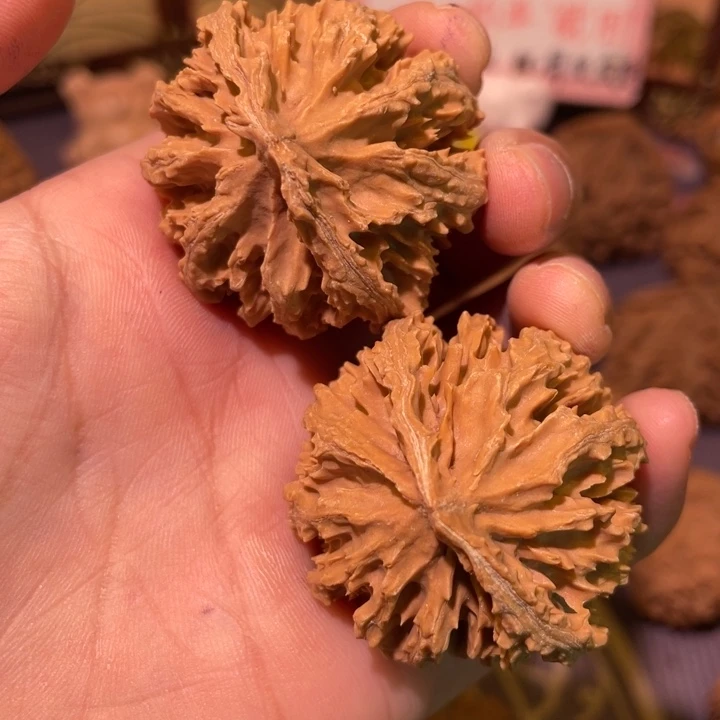 一***求核桃秦岭文玩核桃15