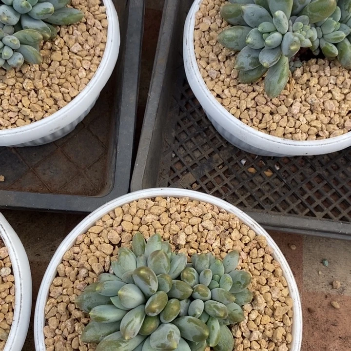 浙***興888888885888888888