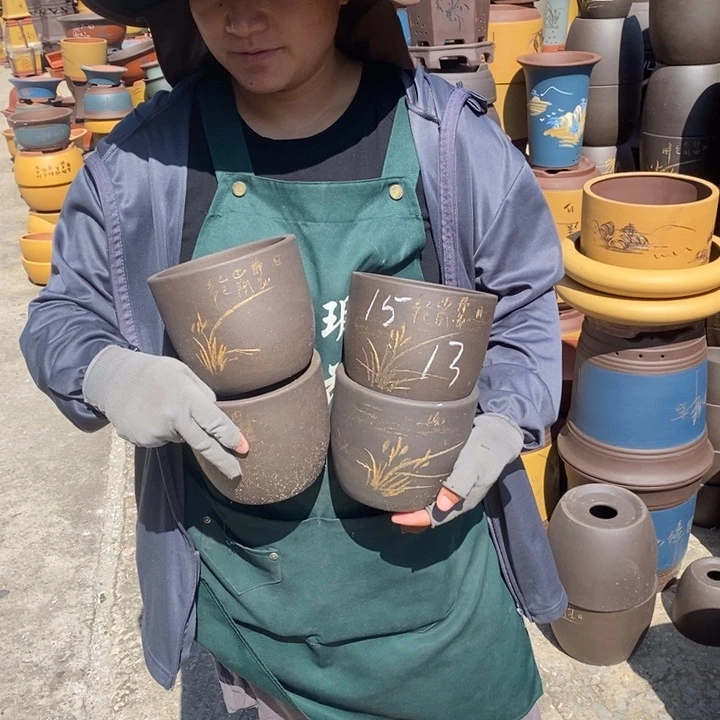 紫砂花盆盆栽花卉苗木种植