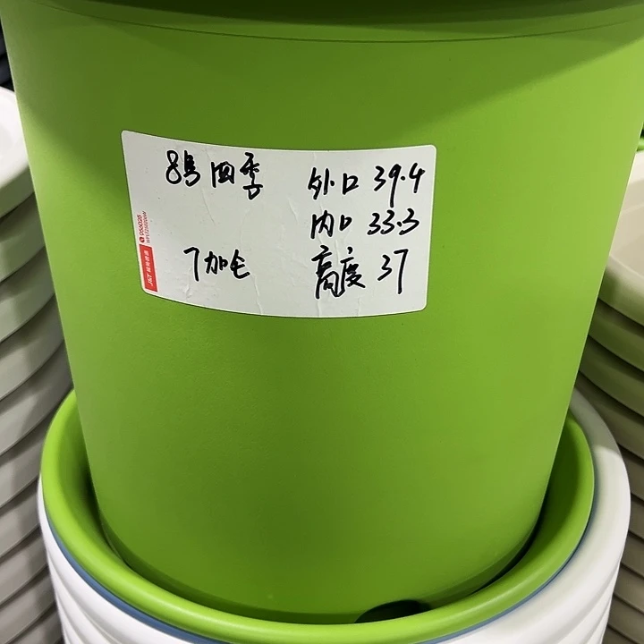 特价8号口39高37白色5只无托