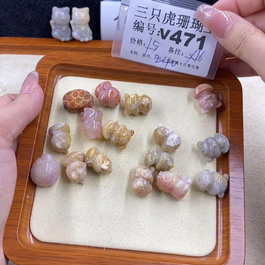 硅化珊瑚（珊瑚玉）未镶嵌1j****在