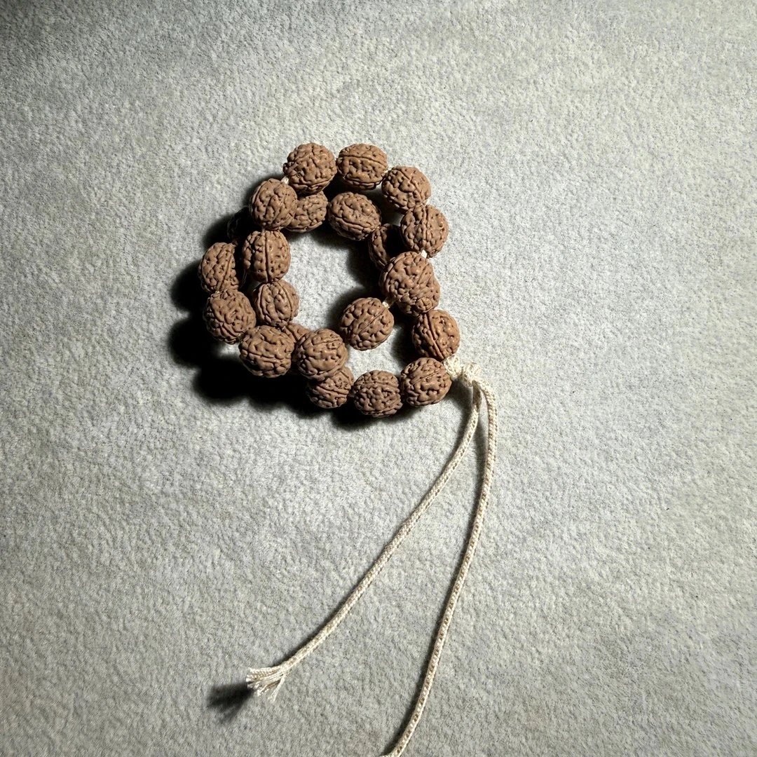 【老龙·单圈】小金刚菩提毕业单根