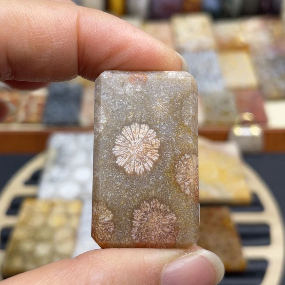 硅化玉未镶嵌颈饰k28