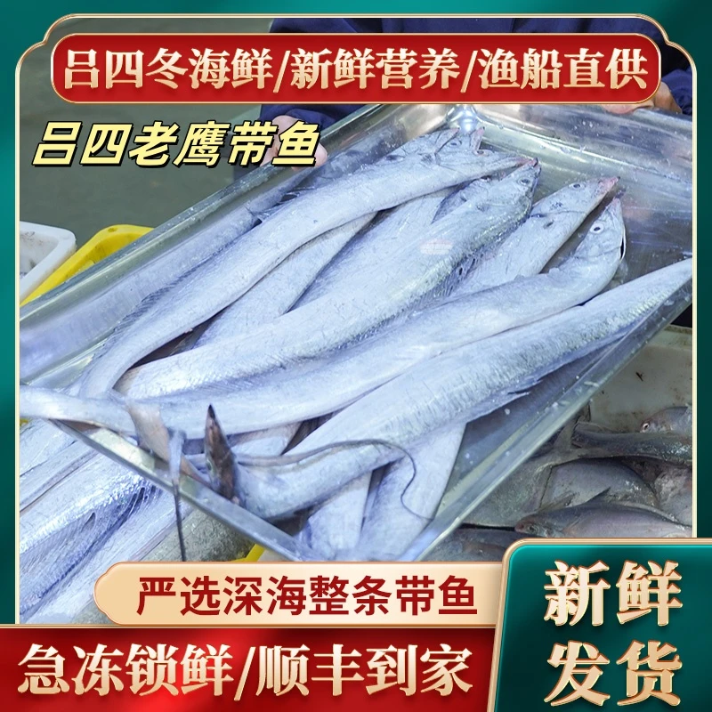 吕四渔港老鹰带4斤（6条）油带鱼冰鲜带鱼油带鱼