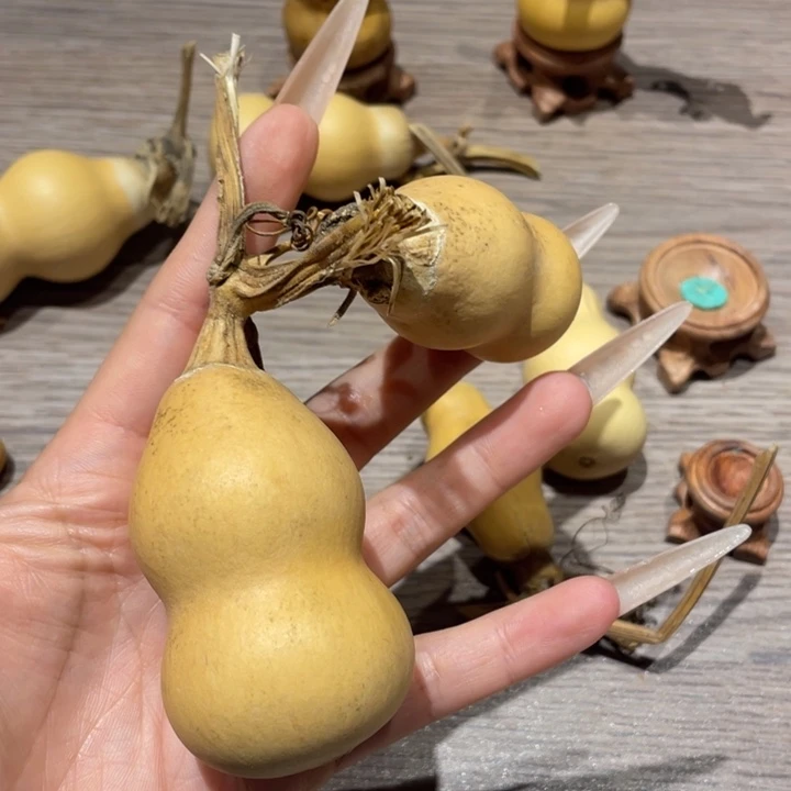 你***注葫芦葫芦葫芦葫芦