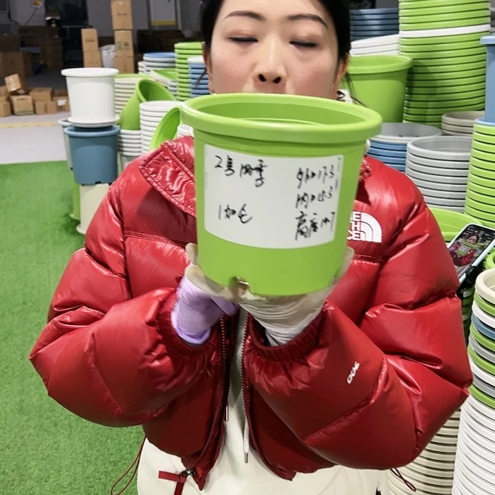 特价2号四季口17高15果绿10只无托