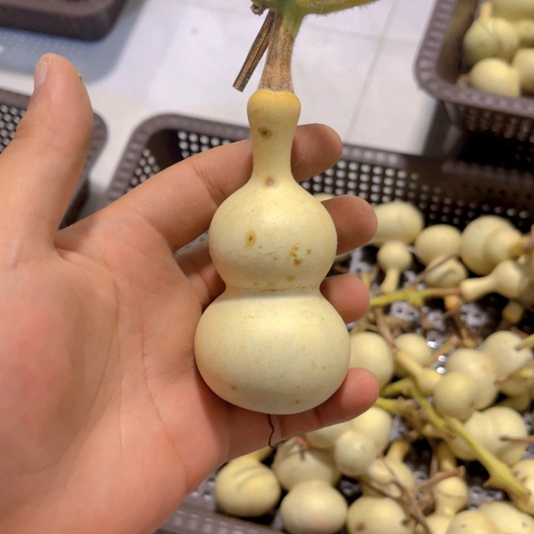 奋***斗感谢大哥支持兄弟不保