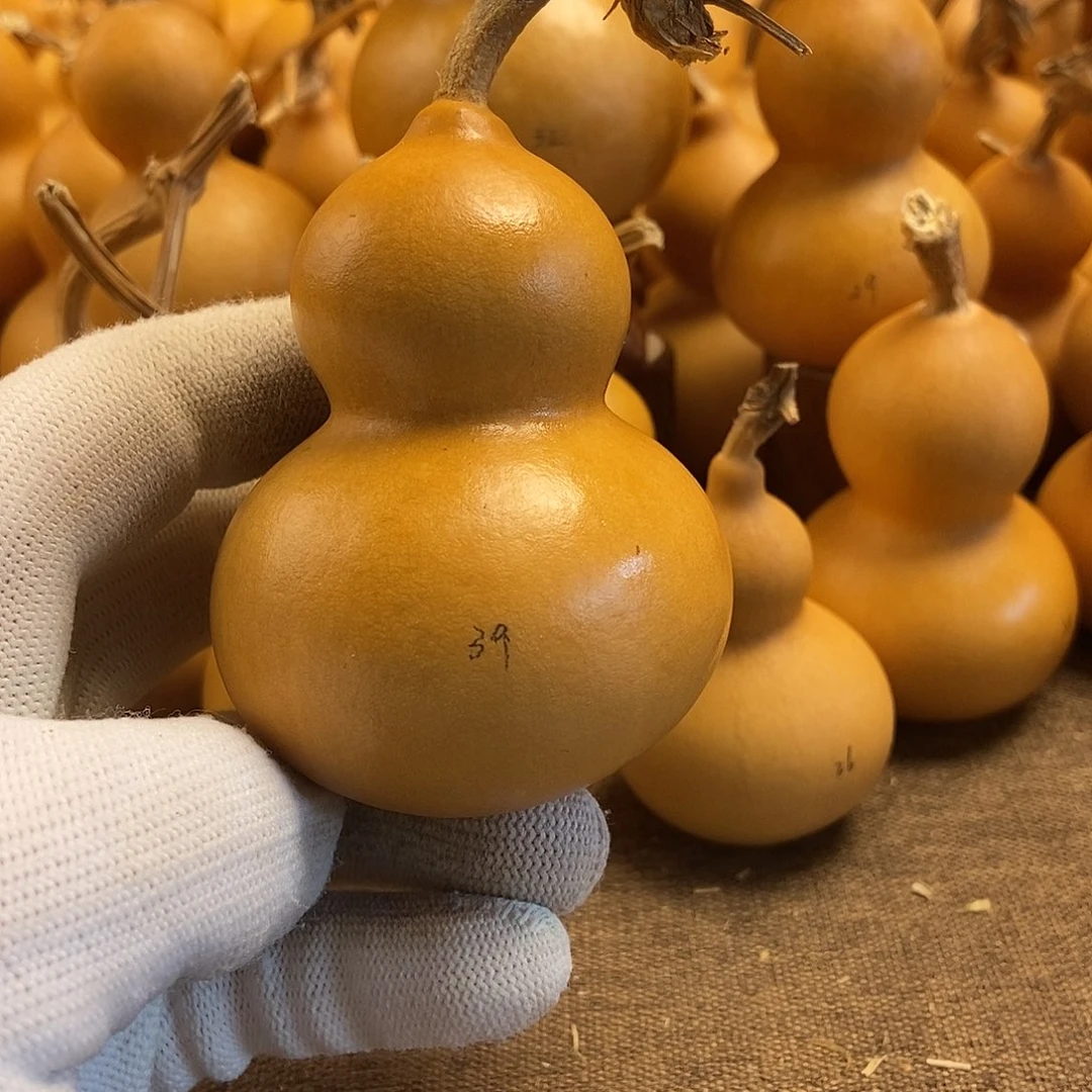 文玩葫芦 完美主义者 慎拍39