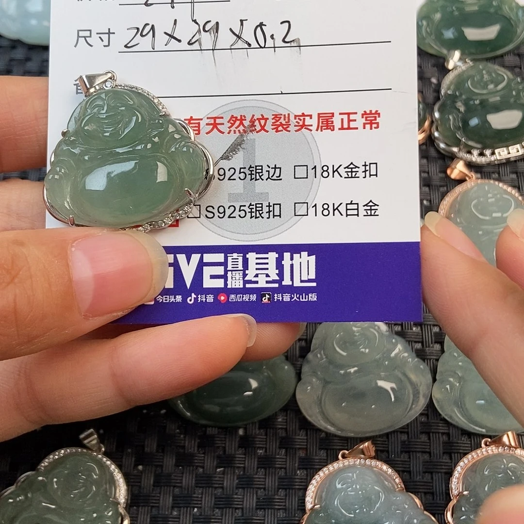 胖***嘟翡翠银S925镶嵌颈饰