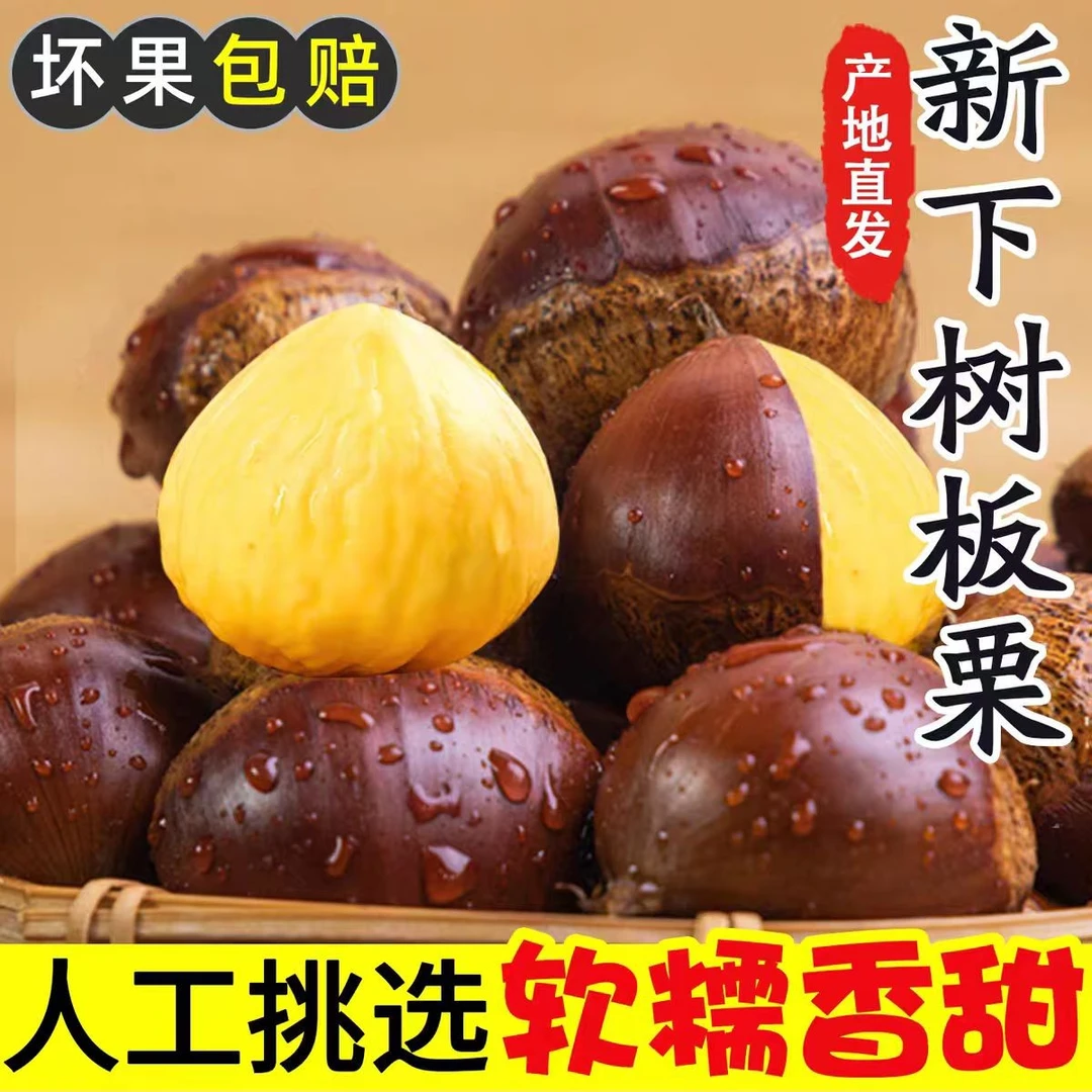 【秋季新果】新鲜高山老树板栗颗颗饱满香甜香糯易剥皮