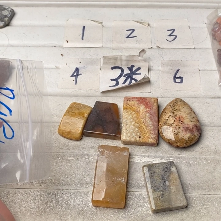 硅化玉颈饰足金镶嵌B*e