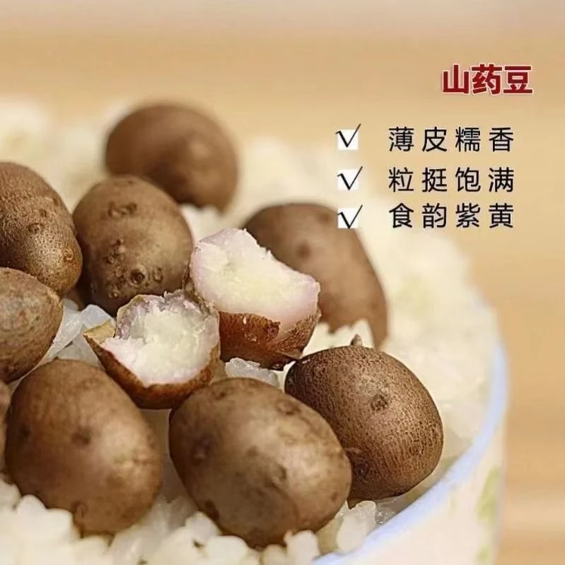 新鲜山药豆5斤蒸煮炒炖糖葫芦拔丝挂霜煲汤煮粥打豆浆产地直销