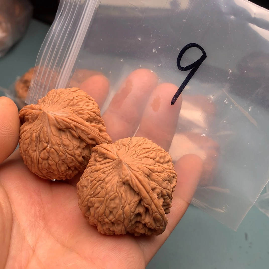 文玩核桃把件衎*泥鳅9