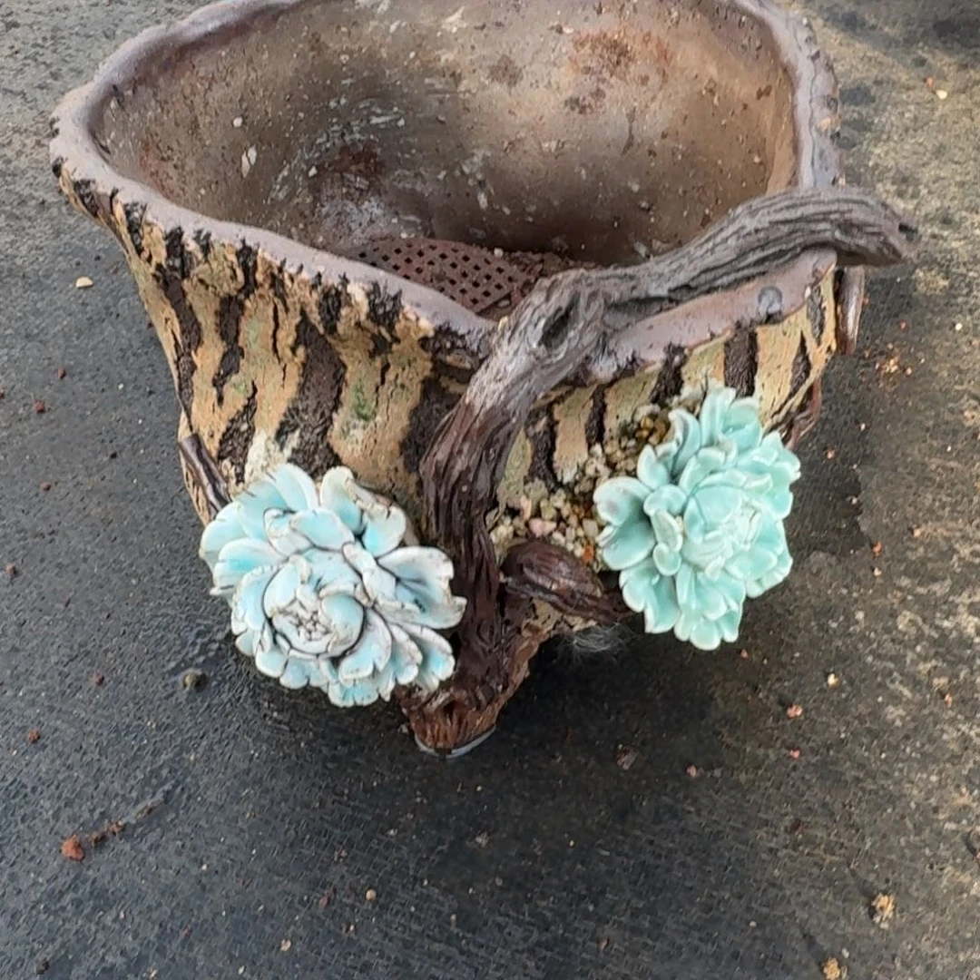 爱***壳从前慢花园多肉精选编号1222.212