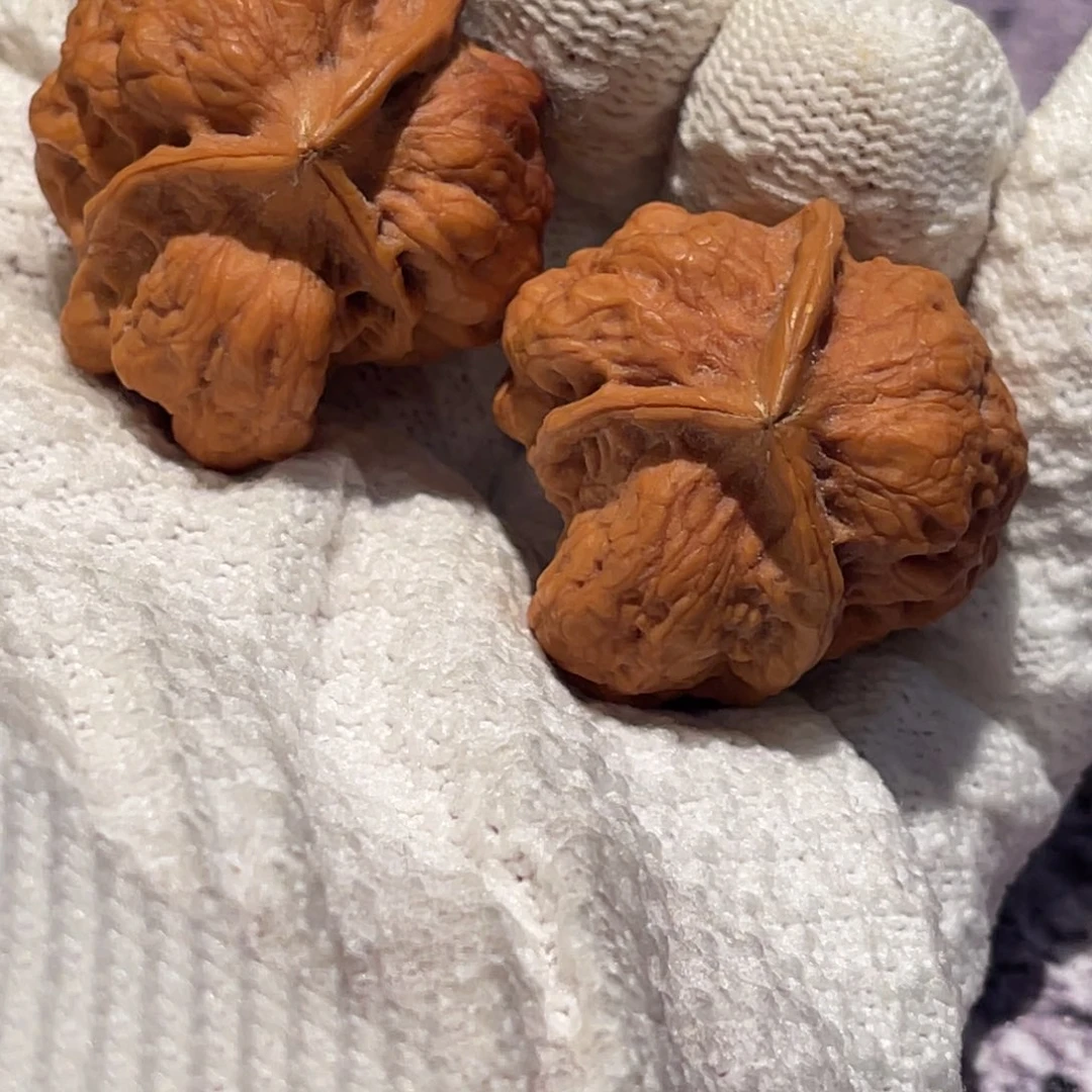 文玩核桃吊坠铁核桃异形