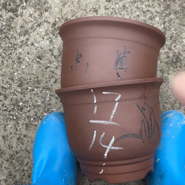 紫砂花盆紫砂的花