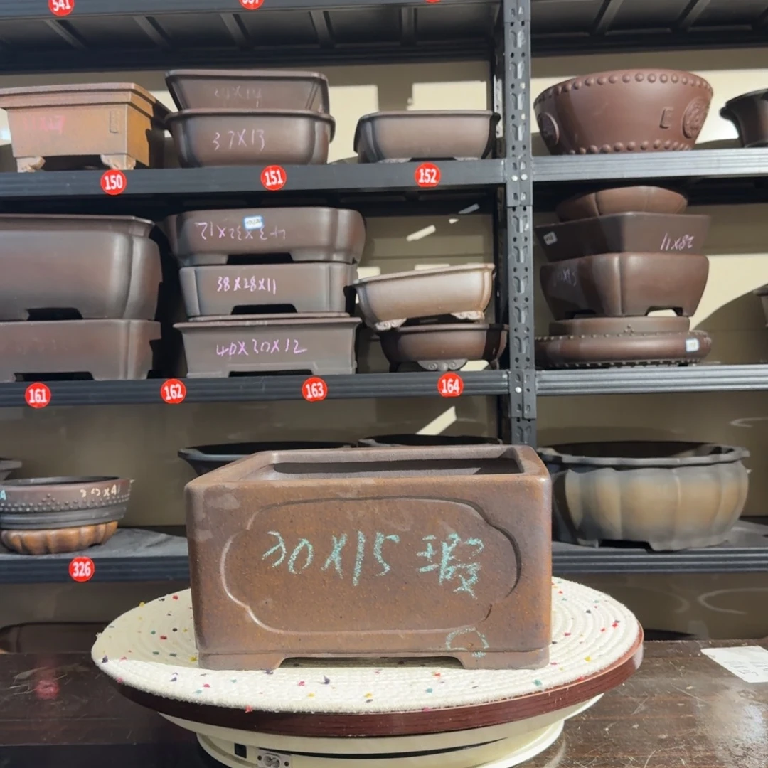 紫砂呜呜呜我的宝呜呜呜我好