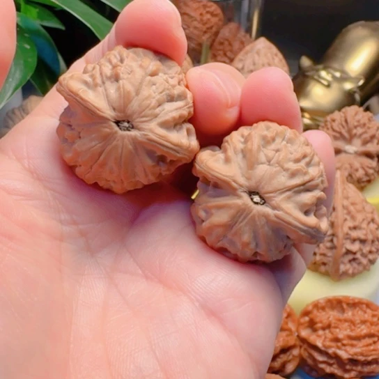 福利小金鱼文玩核桃