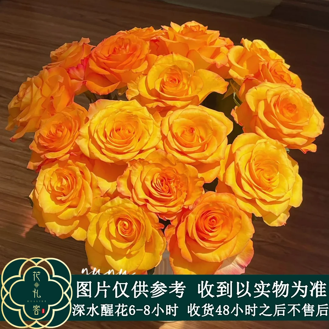 七叶花坊#单头玫瑰 【黄金海岸】鲜花优选 顺丰直发