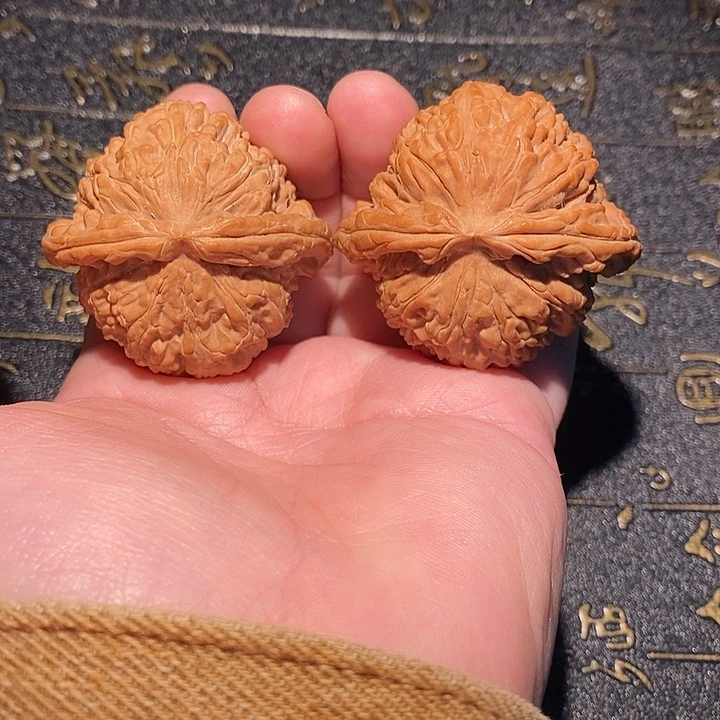 核桃手串/手链45白狮子 防拍价