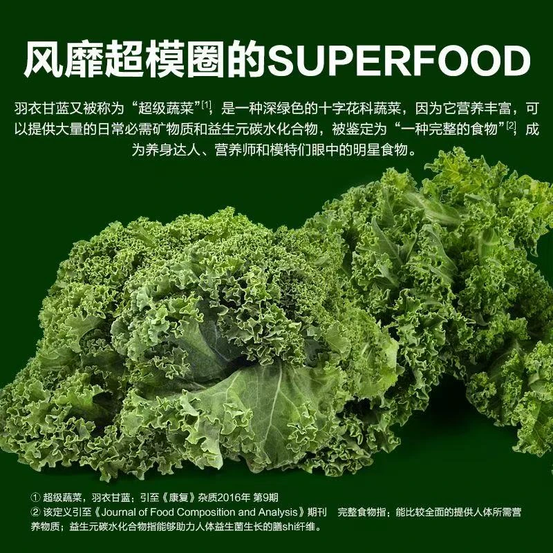 新鲜羽衣甘蓝嫩叶可榨汁可做西餐沙拉的蔬菜食材