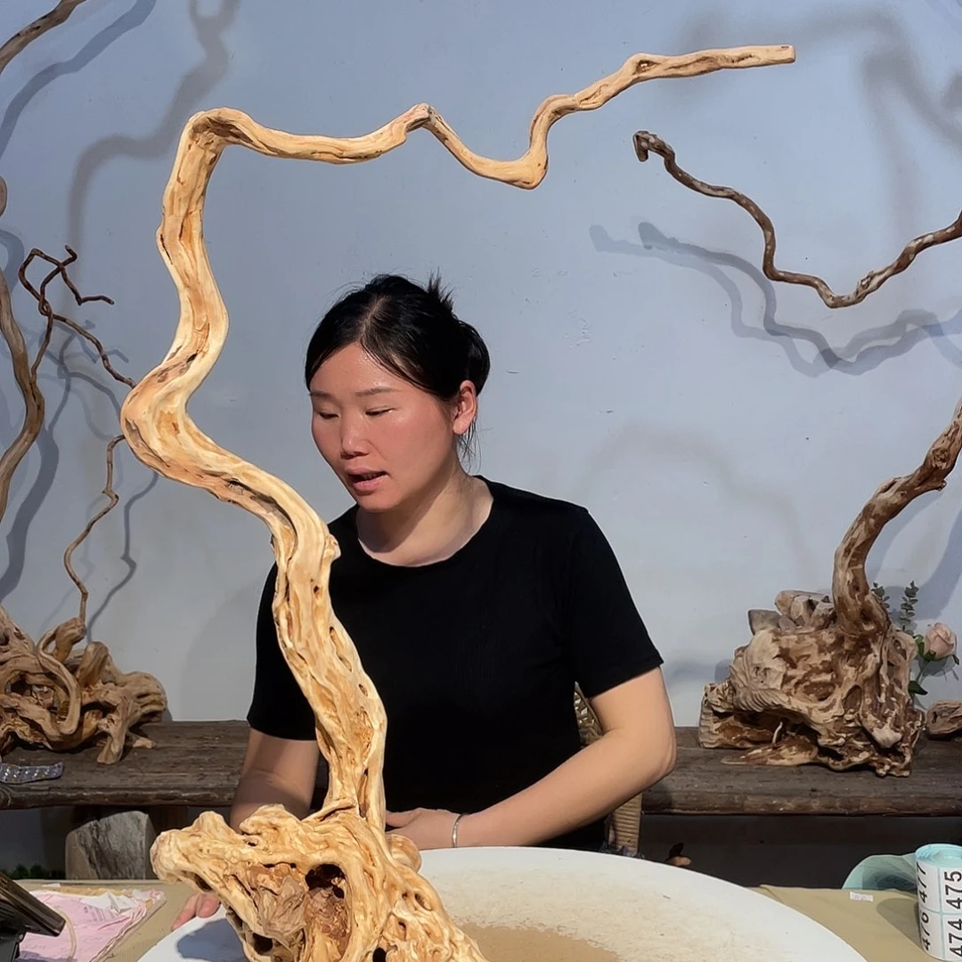 核桃木/黑胡桃（胡桃木）醒