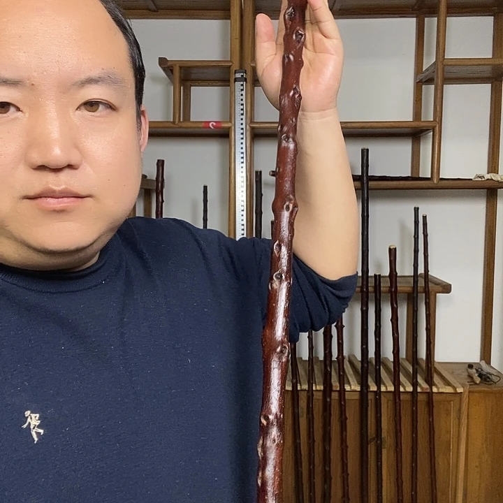 0***1木北对节雀梅棍50