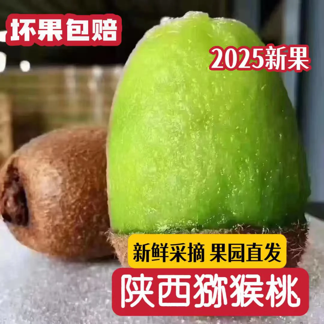 12枚 2025年【徐香猕猴桃】新果陕西绿心猕猴桃新鲜采摘果园直发