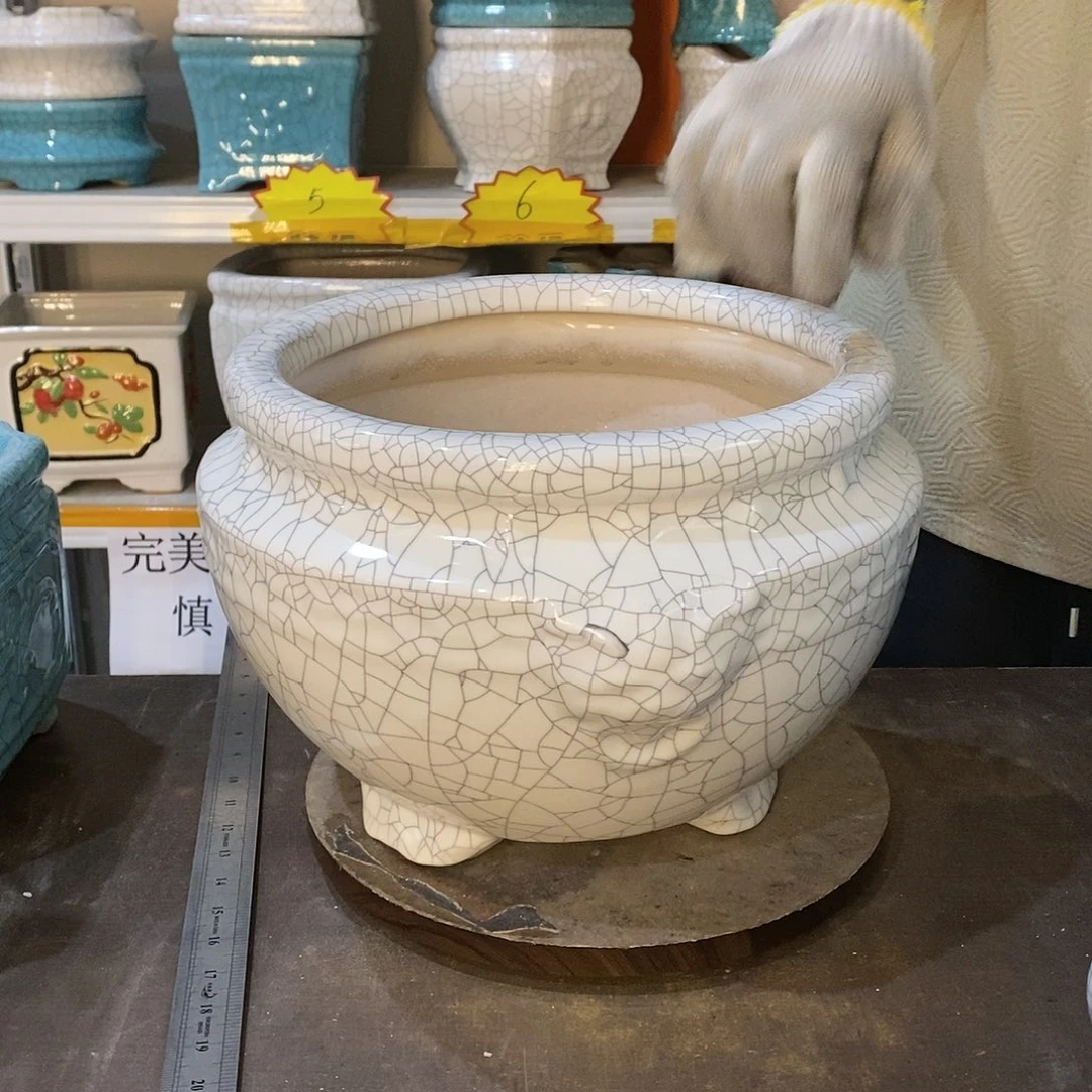 黑***阳瑕疵花盆花盆里的