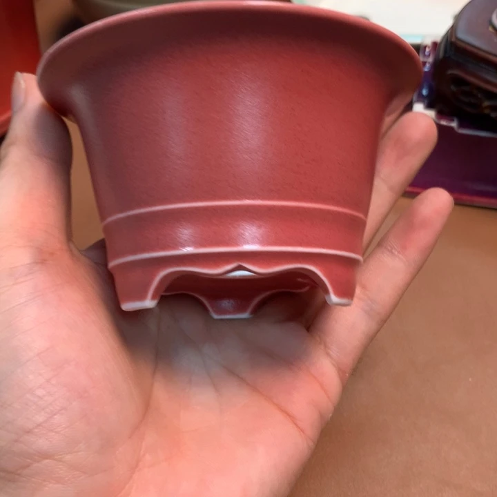 的微博视频我想我是个