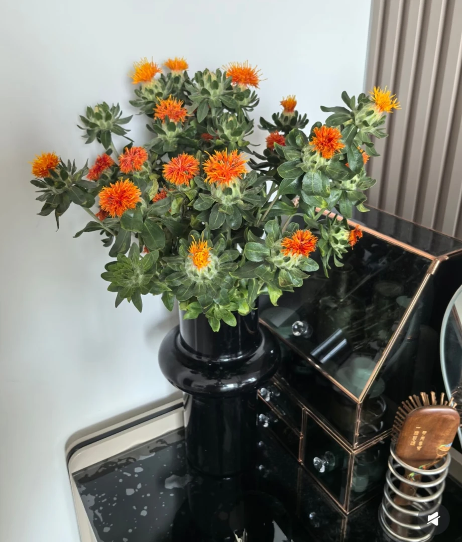 （花一专属）橙菠萝长花期鲜花可做干花家庭装饰插花