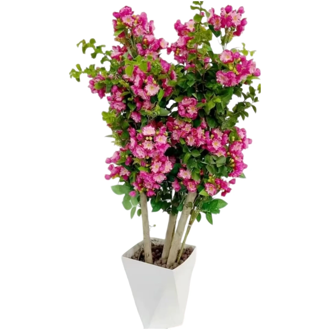 紫薇花石楠花盆栽树苗耐热耐寒带花苞原土发货庭院阳台好养花卉