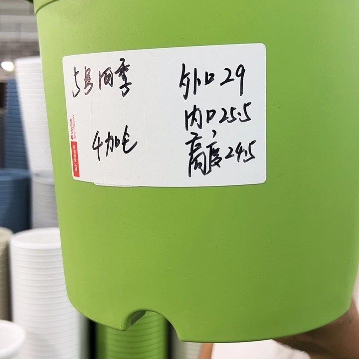 特价5号四季口29高24果绿色5个无托