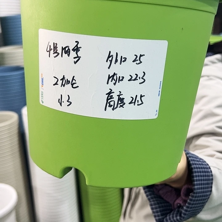 特价4号四季口25高21果绿色无托8只