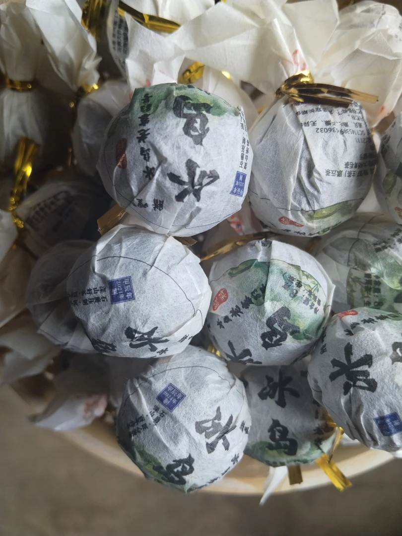 冰岛老寨83号 2024年秋茶大树龙珠9颗