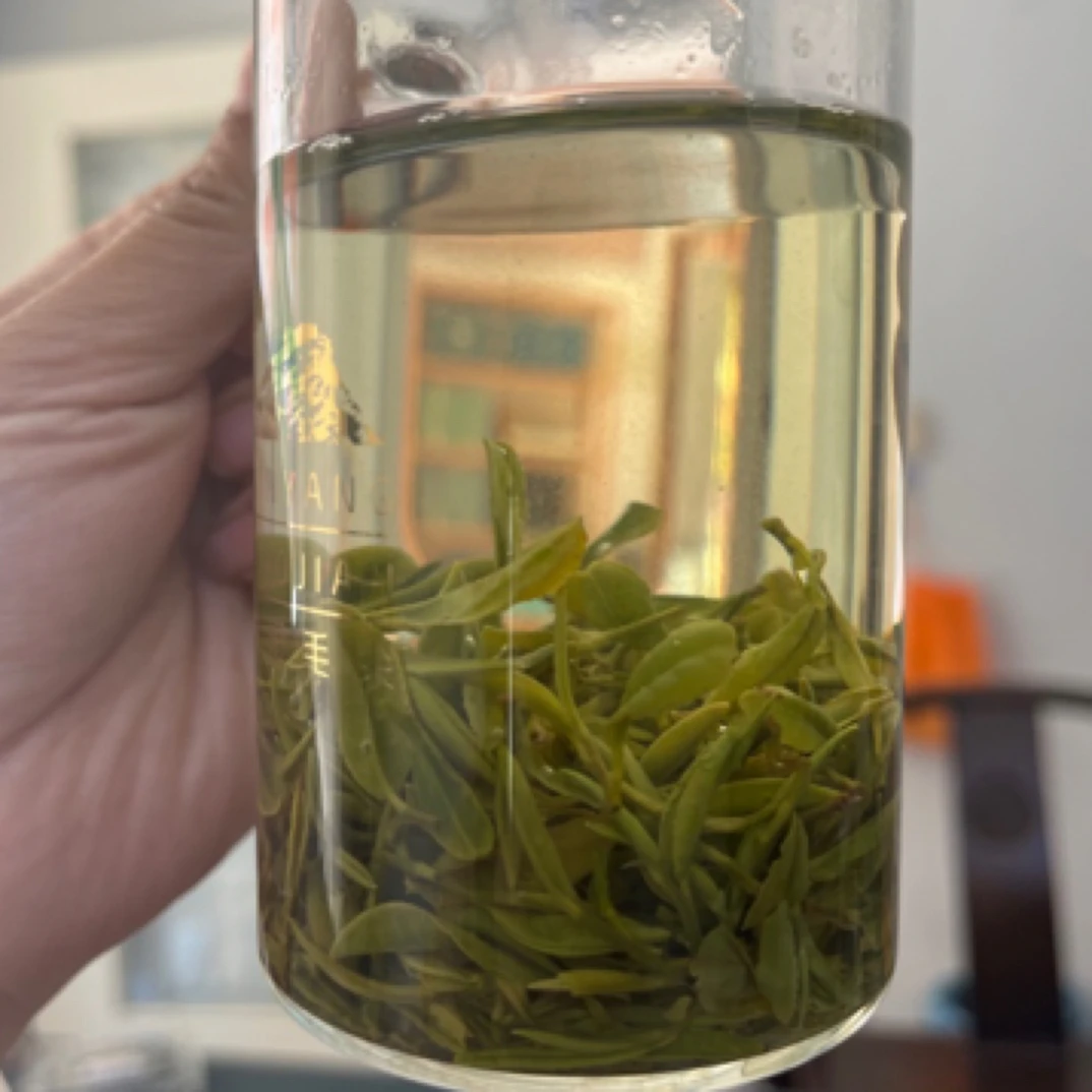 信阳毛尖（A4）2025高山老旱茶雨前中后期娄头芽叶