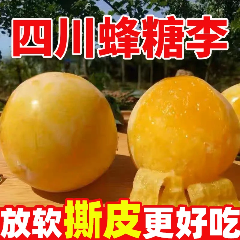 【顺丰发货 放软撕皮吃】四川桃花蜂糖李黄金冰糖李新鲜