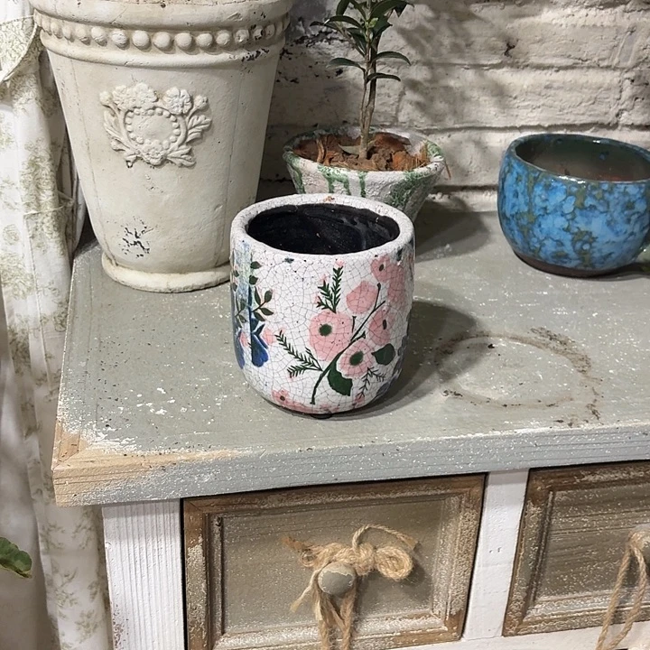 许纯的花房 孤品004