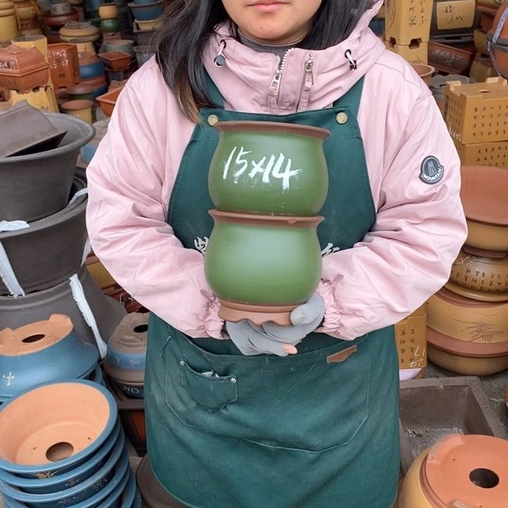 紫砂花盆盆栽花卉苗木种植